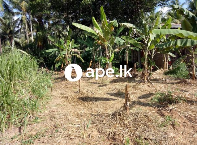 à¶¸à·‘à¶§à·’à¶ºà¶œà¶±à·š à¶´à¶»à·Šà¶ à·ƒà·Š 12 à¶‰à¶©à¶¸à¶šà·Š à·€à·’à¶šà·’à¶±à·“à¶¸à¶§ à¶­à·’à¶¶à·š