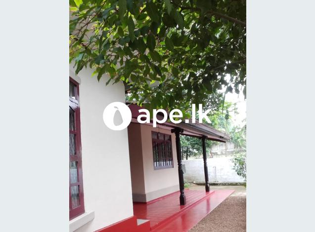 à¶´à·à¶±à¶¯à·”à¶» à¶œà¶½à·Šà¶­à·”à¶©à·š à¶±à·€à·“à¶± à¶´à¶±à·Šà¶±à¶ºà·š à¶±à·’à·€à·ƒà¶šà·Š à·€à·’à¶