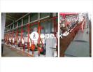 Oil Expeller, Oil Mill Plant Machinery